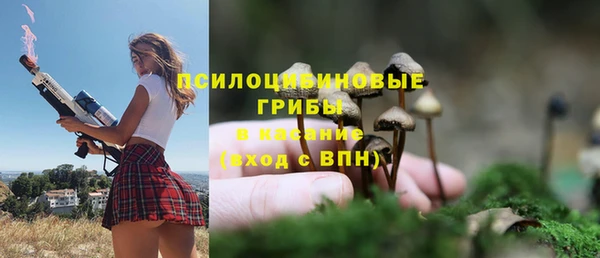 амф Алексин