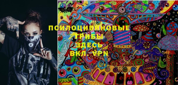 амф Алексин